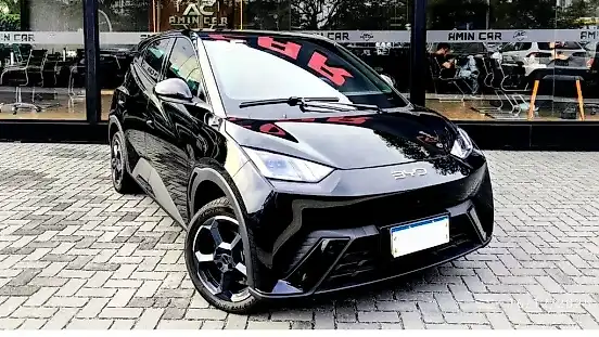 Foto de um byd dolphin mini