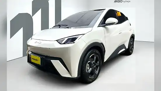 Foto de um byd dolphin mini