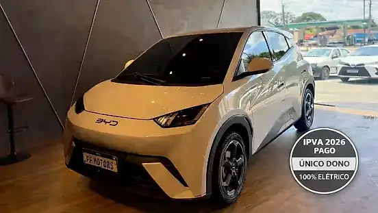 Foto de um byd dolphin mini