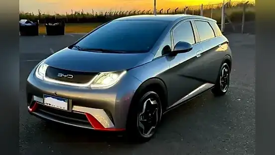 Foto de um byd dolphin