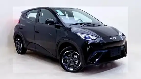 Foto de um byd dolphin mini