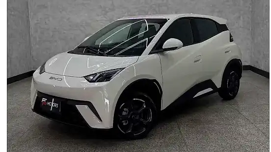 Foto de um byd dolphin plus