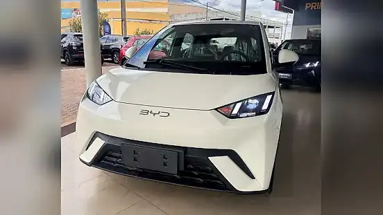Foto de um byd dolphin mini