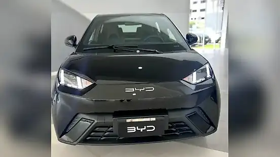 Foto de um byd dolphin mini