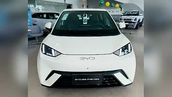 Foto de um byd dolphin mini