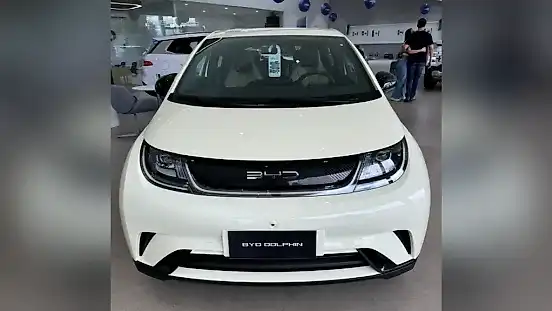 Foto de um byd dolphin