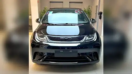 Foto de um byd dolphin