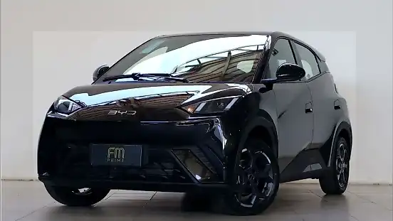 Foto de um byd dolphin mini