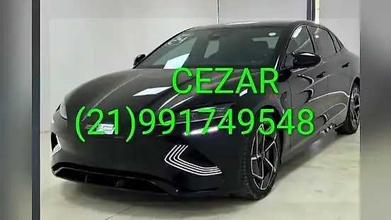 Foto de um byd seal
