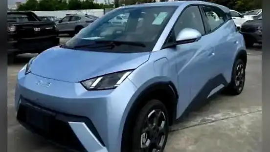Foto de um byd dolphin mini