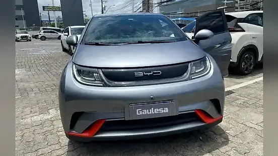 Foto de um byd dolphin
