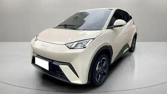 Foto de um byd dolphin mini