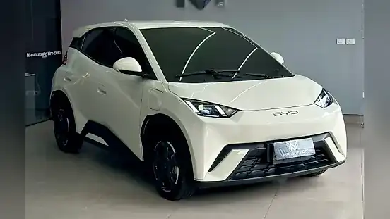 Foto de um byd dolphin mini