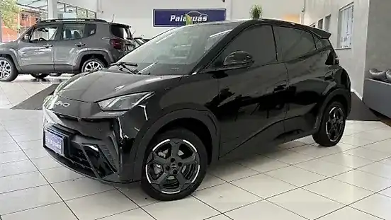 Foto de um byd dolphin mini