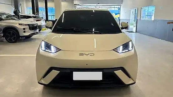 Foto de um byd dolphin mini