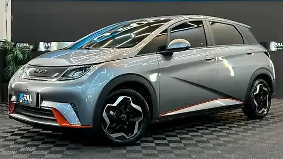 Foto de um byd dolphin