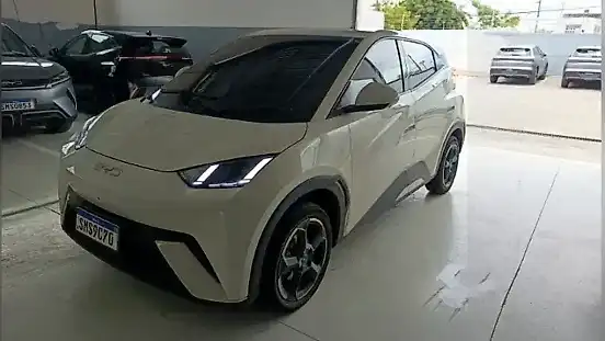 Foto de um byd dolphin mini