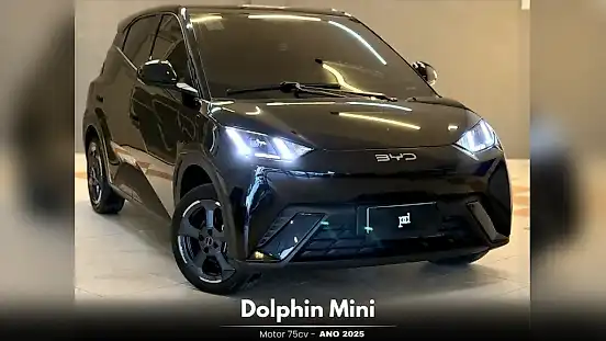 Foto de um byd dolphin mini