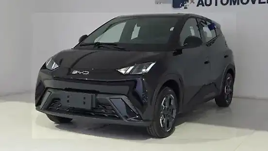 Foto de um byd dolphin