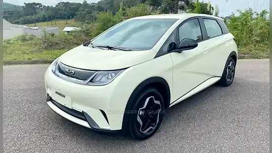 Foto de um byd dolphin
