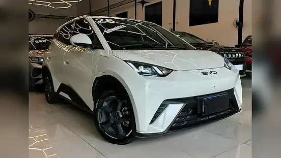 Foto de um byd dolphin