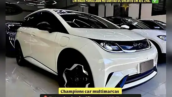 Foto de um byd dolphin