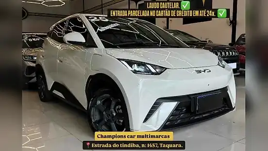 Foto de um byd dolphin mini
