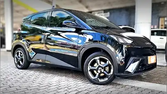 Foto de um byd dolphin mini