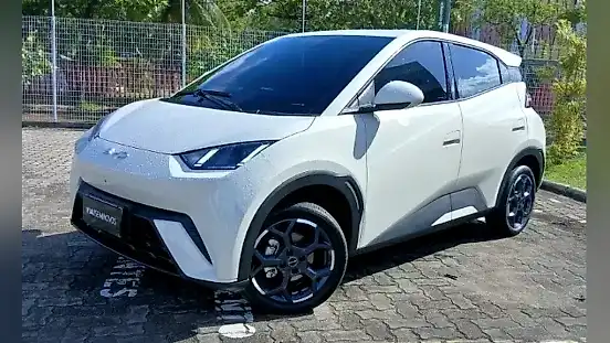 Foto de um byd dolphin mini