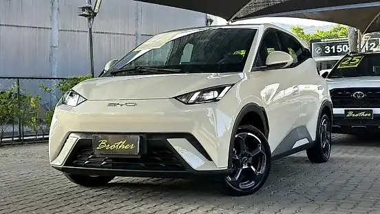 Foto de um byd dolphin mini