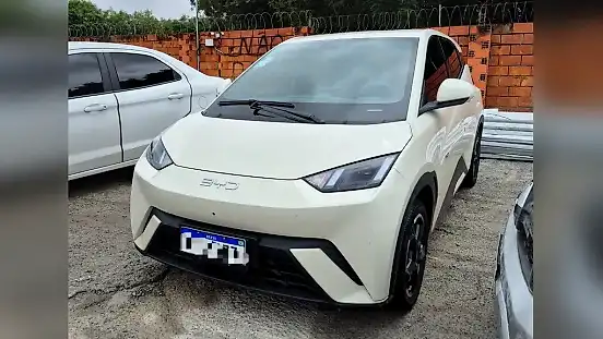 Foto de um byd dolphin mini