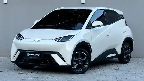 Foto de um byd dolphin mini