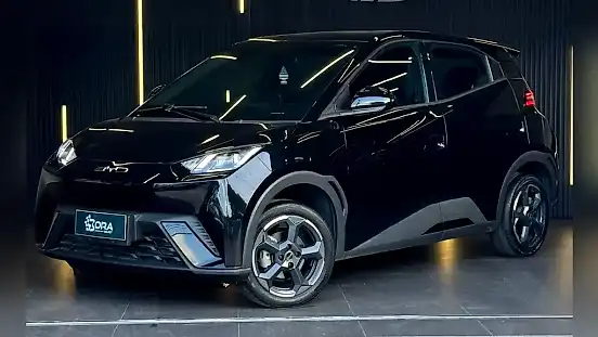 Foto de um byd dolphin mini