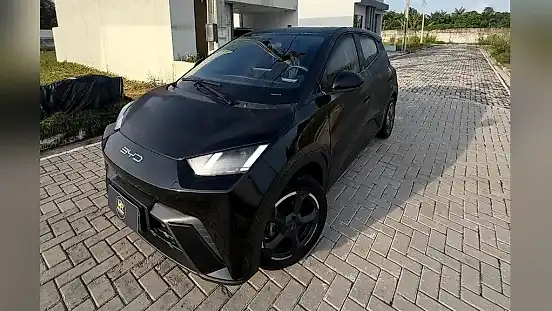 Foto de um byd dolphin mini