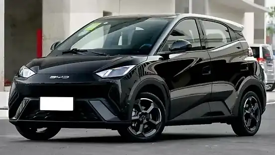 Foto de um byd dolphin mini
