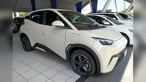 Foto de um byd dolphin mini