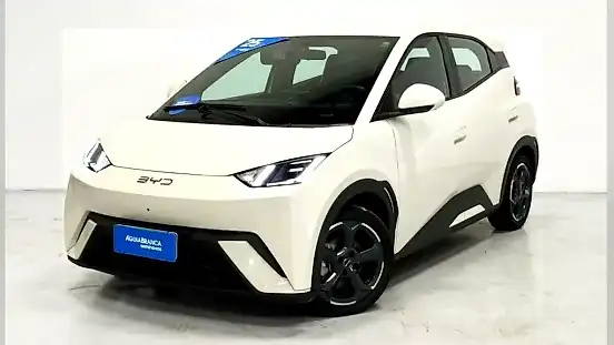 Foto de um byd dolphin mini