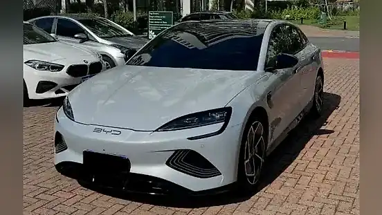 Foto de um byd seal