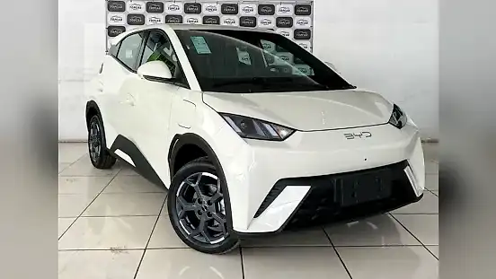 Foto de um byd dolphin mini
