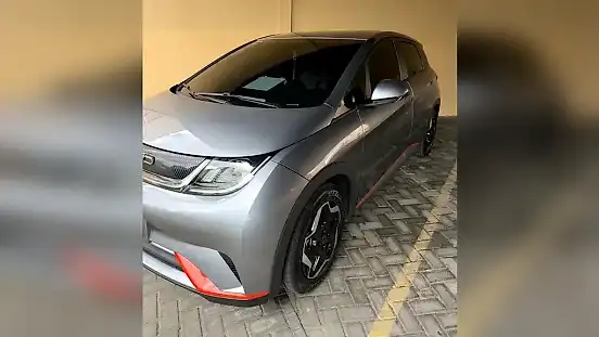 Foto de um byd dolphin
