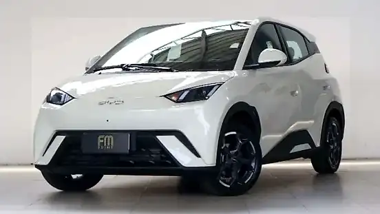 Foto de um byd dolphin mini