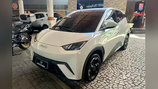 Foto de um byd dolphin mini