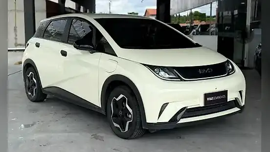 Foto de um byd dolphin