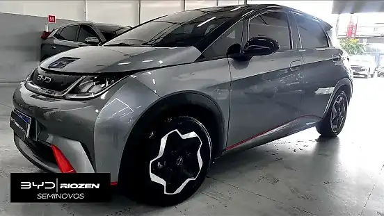 Foto de um byd dolphin
