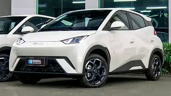 Foto de um byd dolphin mini