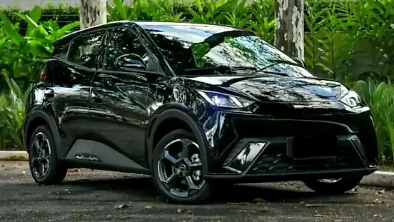 Foto de um byd dolphin mini