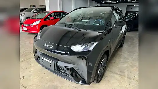 Foto de um byd dolphin