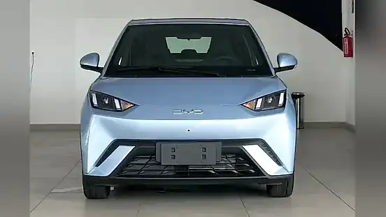 Foto de um byd dolphin mini