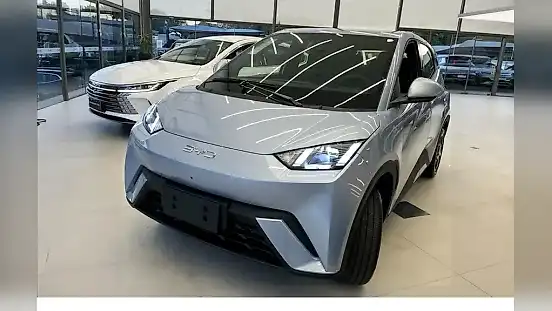 Foto de um byd dolphin