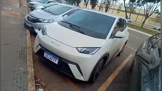 Foto de um byd dolphin mini